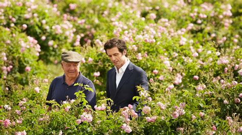 chanel building grass in fornt of the building|An exclusive look at the Chanel flower fields in Grasse .